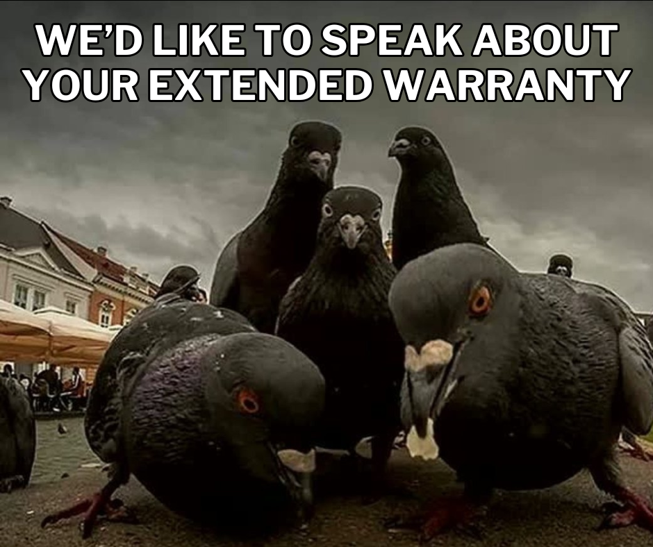 Good memes and bad tweets 5