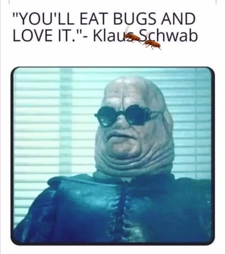 Funny memes 8
