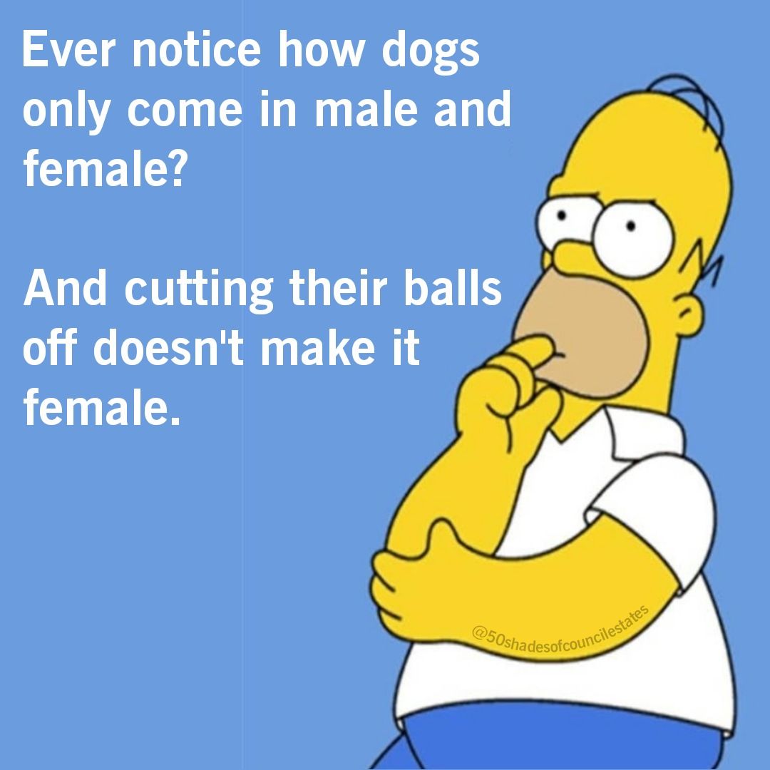 Funny memes 8