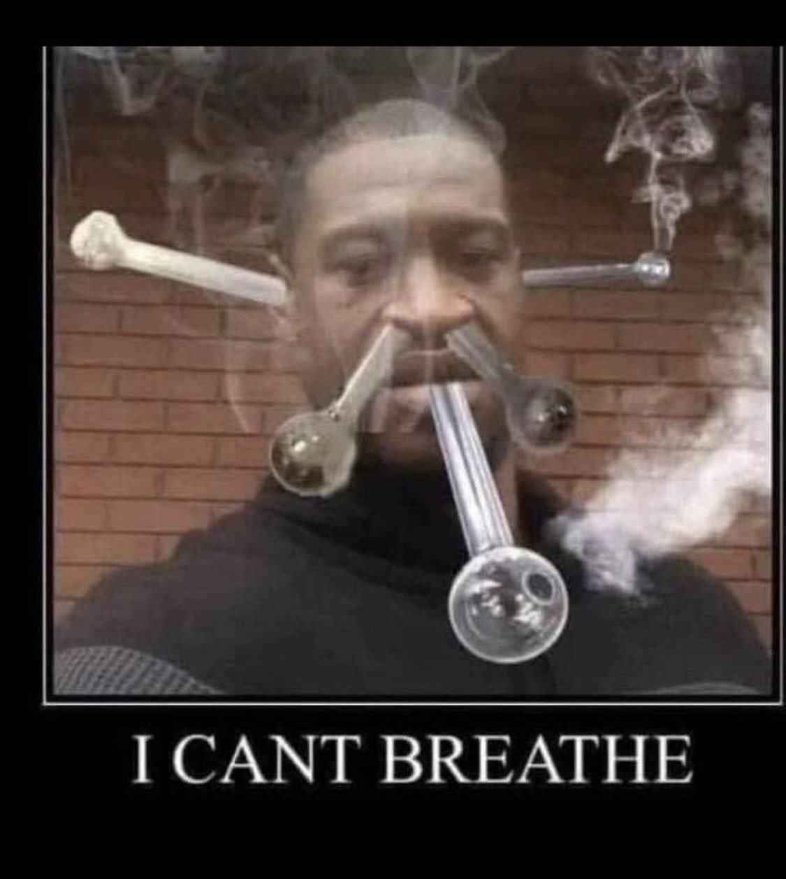 Funny pictures 10