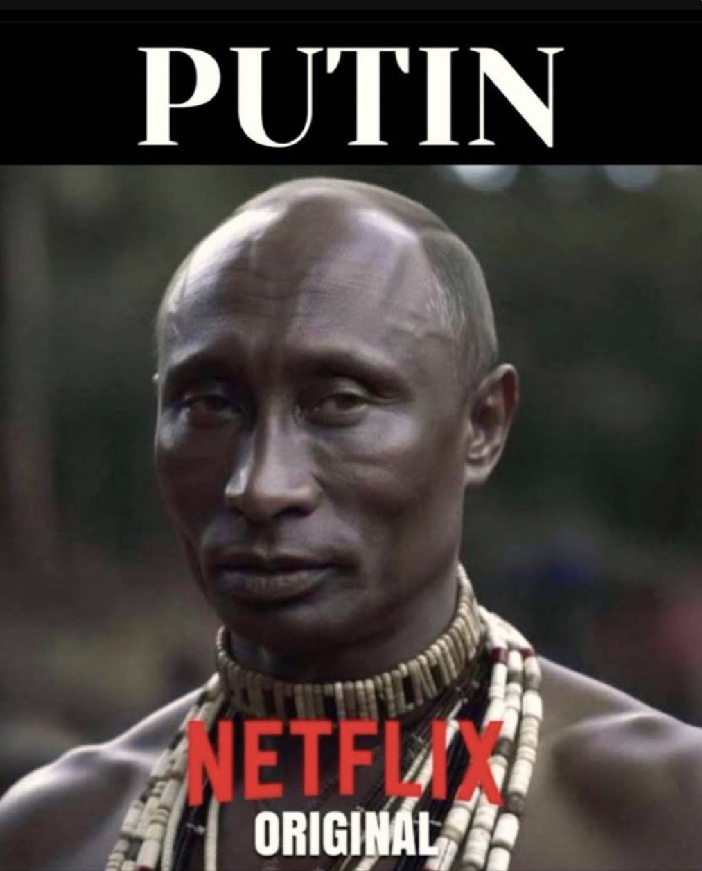 Funny pictures 10