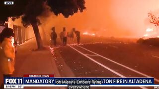 News anchor interrupts people with horses trying to escape wildfires