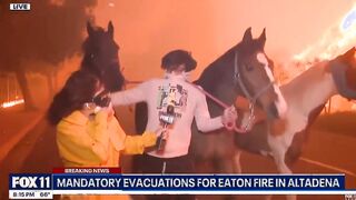 News anchor interrupts people with horses trying to escape wildfires