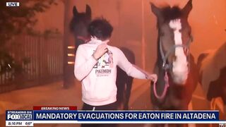 News anchor interrupts people with horses trying to escape wildfires