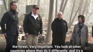 Trump told Gavin Newsom about proper forest management, now the Palisades are burning