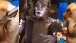 The TIN MAN won't ever be the same