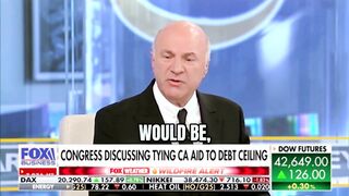 'Trump should withhold federal funding to CA until Newsom and Bass are removed' - O'Leary