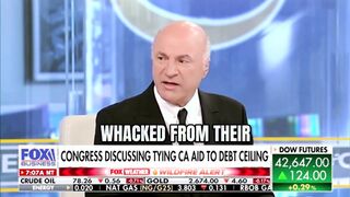 'Trump should withhold federal funding to CA until Newsom and Bass are removed' - O'Leary