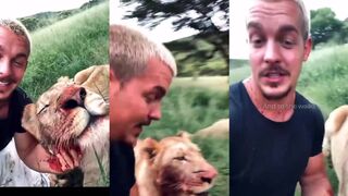 Dude hangs out with lions while they're eating