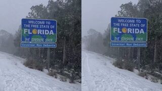 Florida enjoys some lovely snow during historic weather