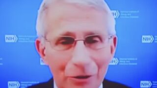 Trump pulls Fauci's security detail