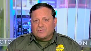 Border Patrol Chief reports 'almost 90% decrease in illegal entries since January 21'