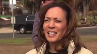 "Is she hammered?" Kamala Harris mocked for response to LA fires