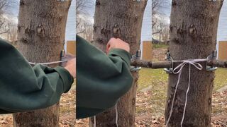 The TREEFRIEND is way better than a girlfriend