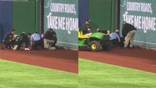 Fan falls from the upper deck at the Pirates/Cubs game