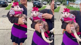 Woman shows off her very dressed up possum