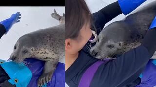Do you want to be hugged like this?