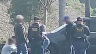 ICE raided Home Depot parking lot, then illegal immigrant acted like a victim