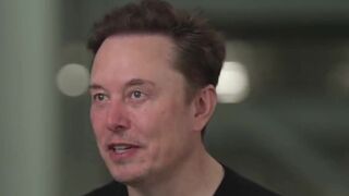 Elon Musk: "A bill can be big or beautiful, not both"