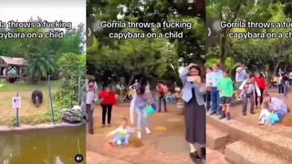 Gorilla throws pile of dirt at child