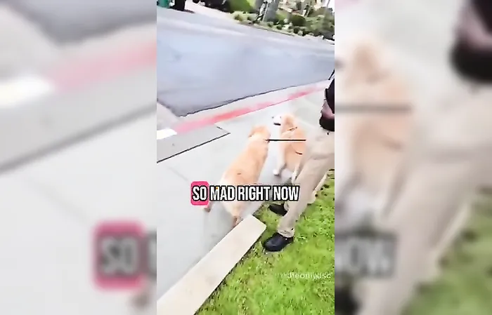 Woman throws handful of sh*t at toddler