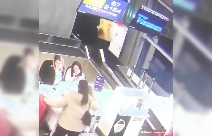 Elderly traveler mistakenly steps onto baggage conveyor, thinking it’s a travelator