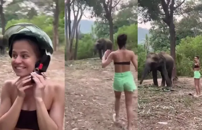 He said don't get too close, but she didn't listen and got MESSED UP