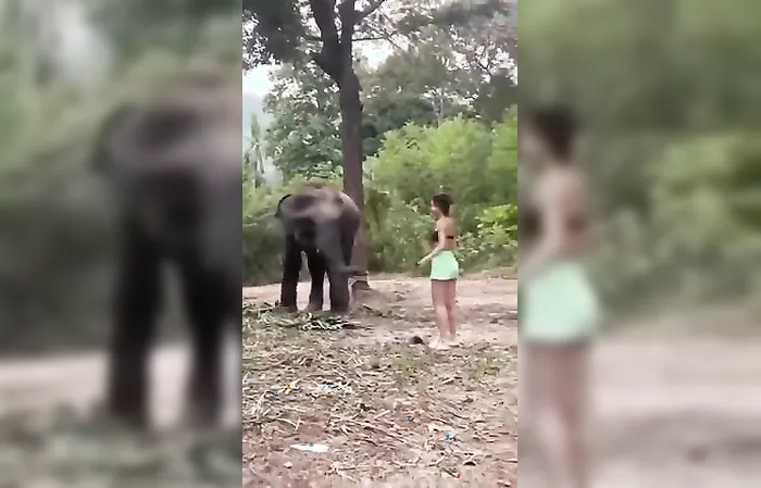 He said don't get too close, but she didn't listen and got MESSED UP