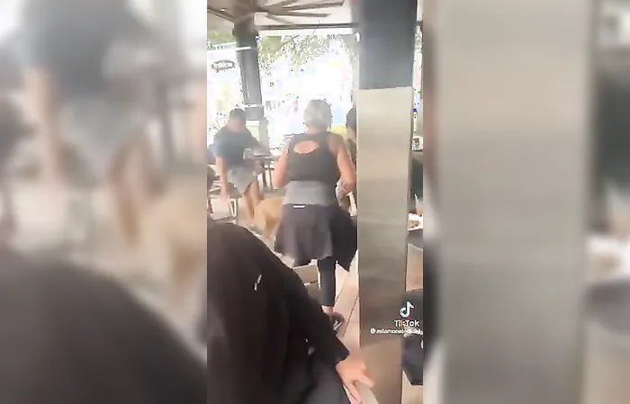 I love dogs, but pit bulls don't belong in a restaurant