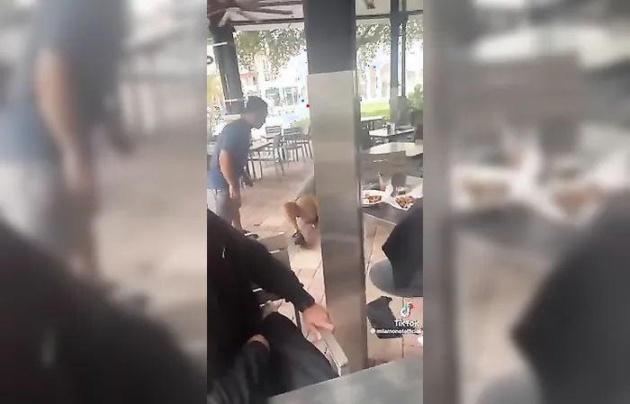 I love dogs, but pit bulls don't belong in a restaurant