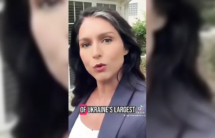 Did Tulsi Gabbard try warning us about this ages ago?