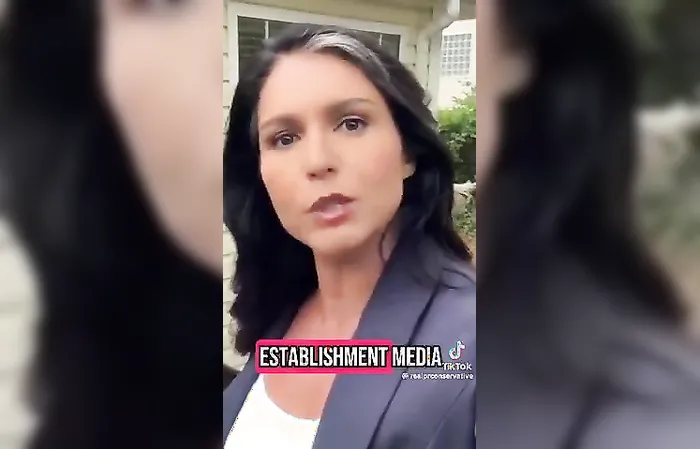 Did Tulsi Gabbard try warning us about this ages ago?