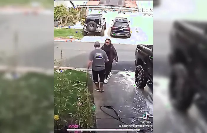 Police investigate woman accused of KICKING DOG during altercation