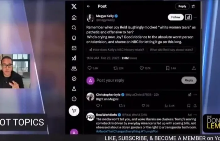 Don Lemon tells Megyn Kelly to go "f*ck herself" because she mocked Joy Reid