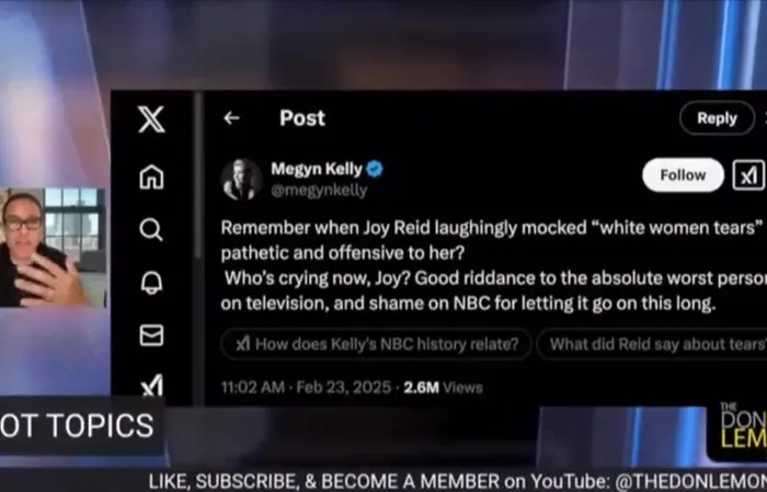 Don Lemon tells Megyn Kelly to go "f*ck herself" because she mocked Joy Reid