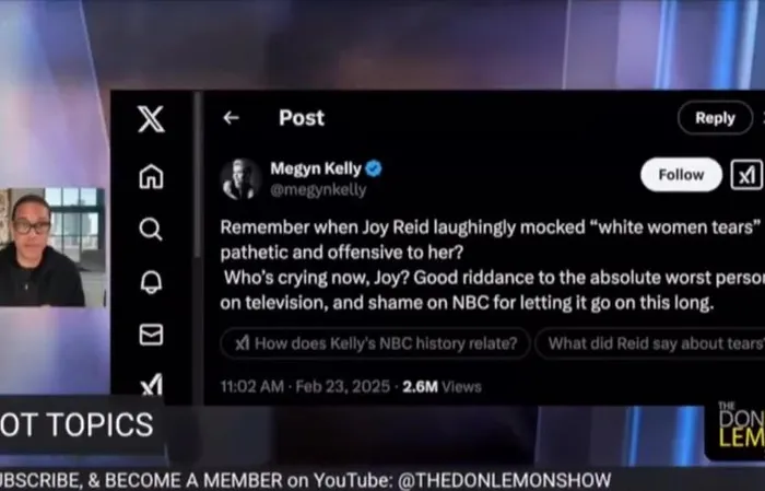 Don Lemon tells Megyn Kelly to go "f*ck herself" because she mocked Joy Reid