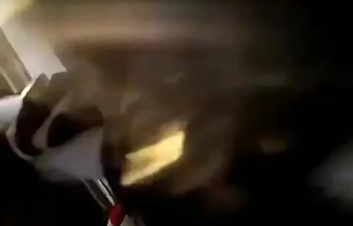 Plane explodes during skydiving trip, caught on video