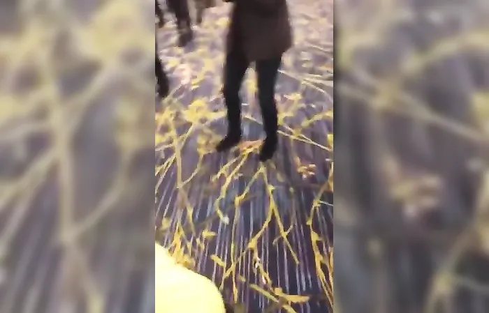 Aren't you glad Kamala lost the election?