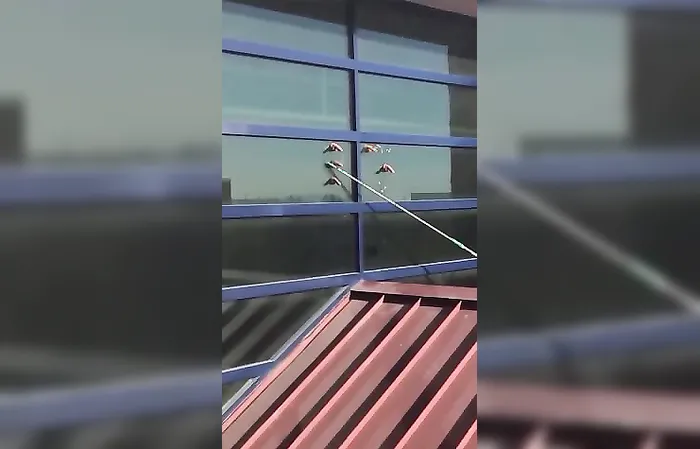 Always pay the window cleaner