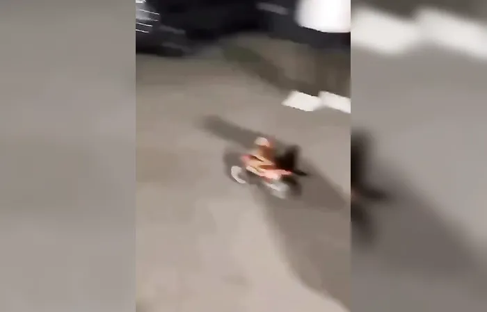 Try not to laugh
