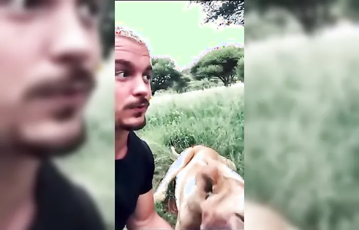 Dude hangs out with lions while they're eating