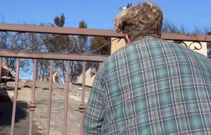 Fire victim reunited with missing dog after home burned down