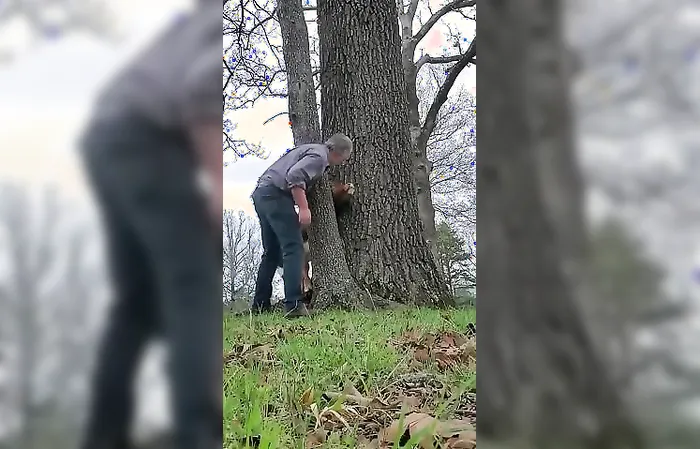 Just get behind the cow, grandpa
