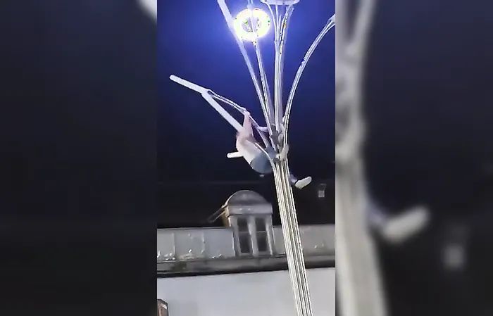 Man climbs weird light post to save a seagull