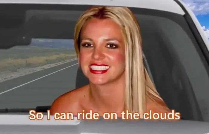 Funny meme video with lady singers