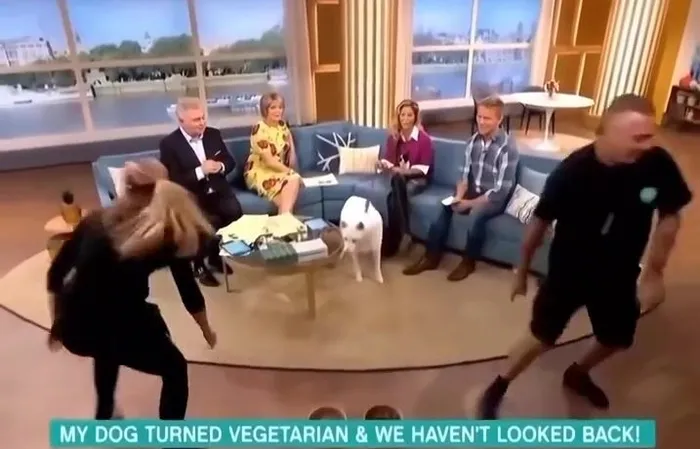 Woman claims dog is vegetarian, doesn't go as planned