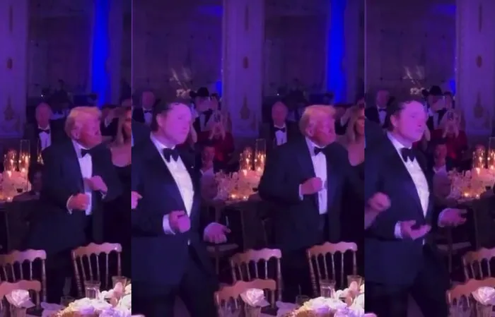 Donald Trump and Elon Musk enjoying New Year's Eve