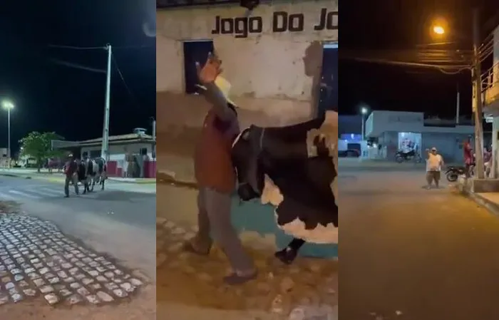 Bull appears to take drunk owner home in funny viral video