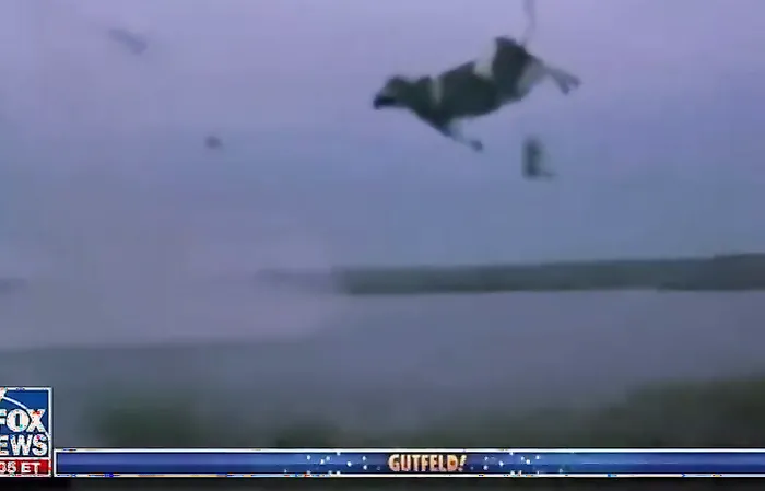 Remember that time she got carried away by...: Greg Gutfeld takes down Joy Behar