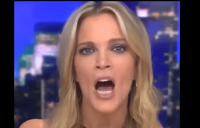 I Will Make Them a Bud Light: Megyn Kelly Dares people to Cancel Her